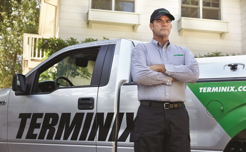 Pest Control Companies: The 10 Pre-Eminent For 2018