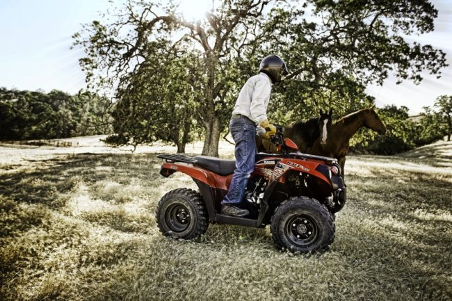 12 Advises To Buy Cheapest Farm Utility Vehicle