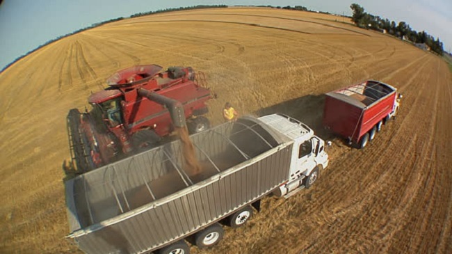 Exclusive Guide: 10 Things To Know When Buying Grain Truck