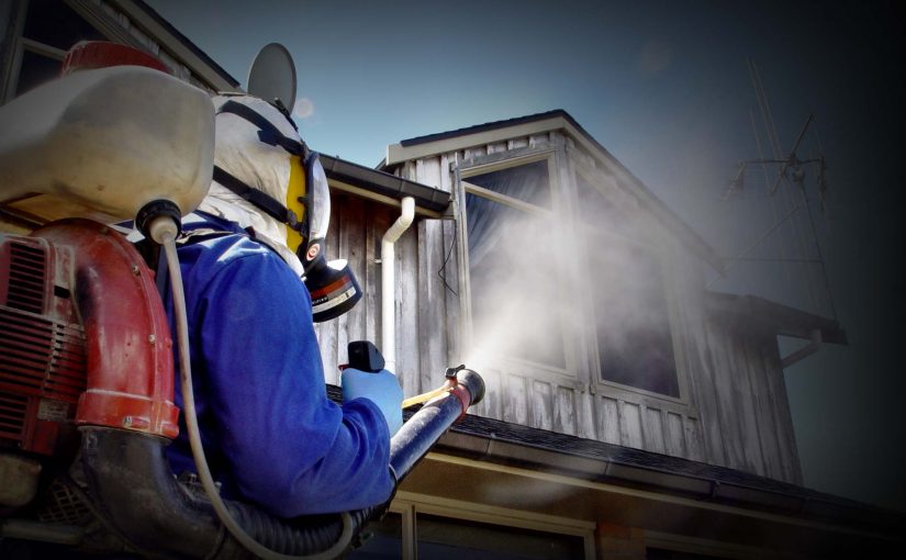 Pest Control Certification Test: Learn 7 Secrets About It